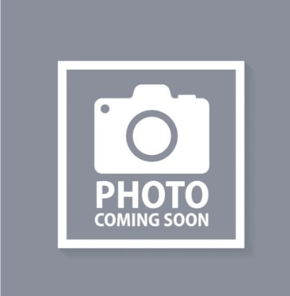 DR. VI PHAM - DENTIST