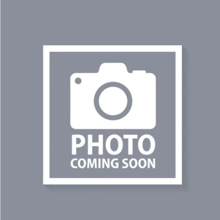 MICHELLE - Dental Assistant